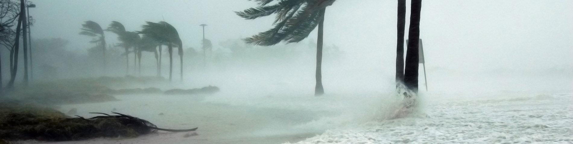 A beach showing signs of severe hurricane weather.